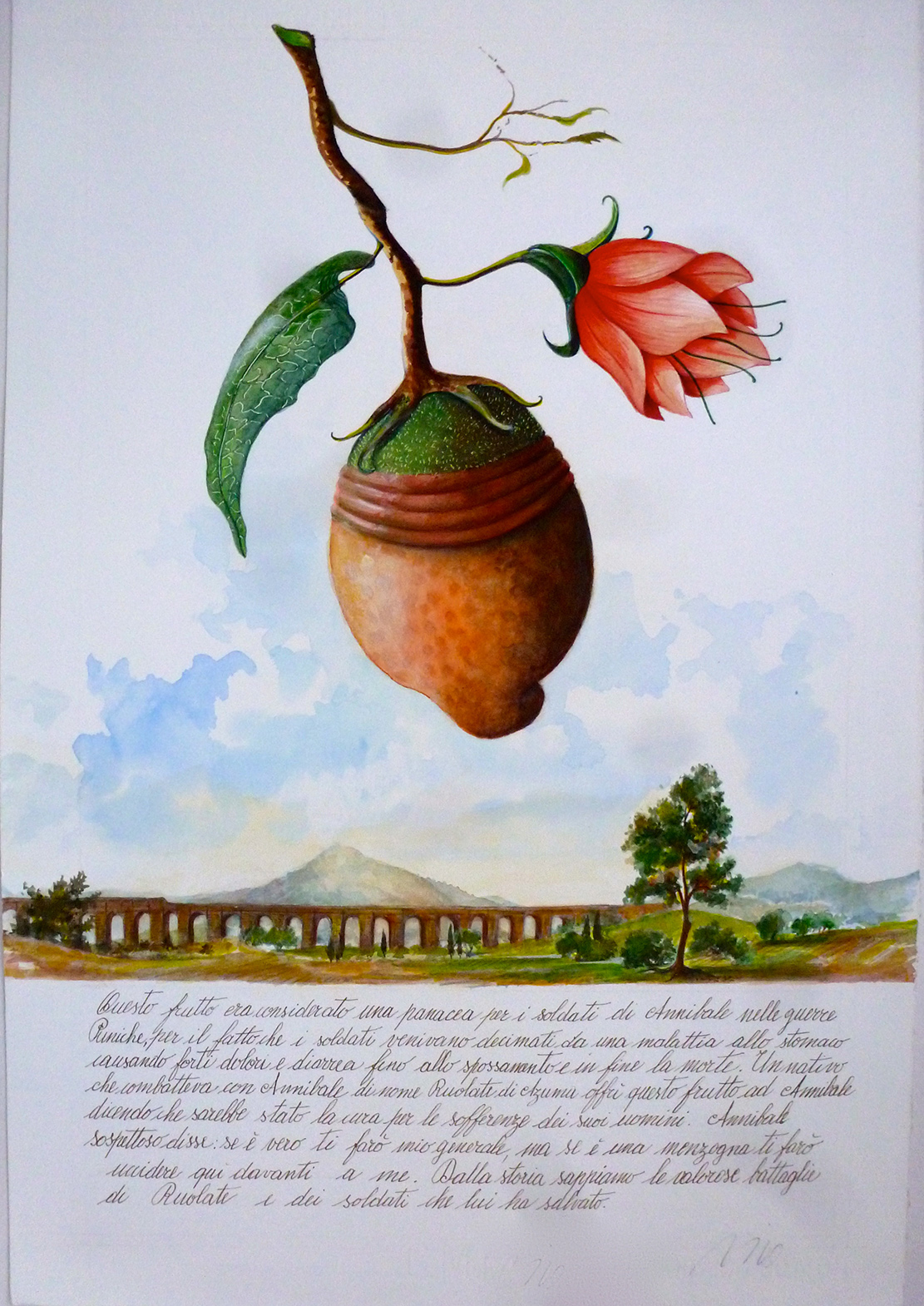 Azumacea , Vico Fabbris