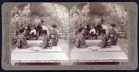 © "Amidst the Beauties of Springtime – Dwarf Cherry Trees at Omuro Gosho Temple" 1904 / Prints and Photographs Division, Library of Congress
