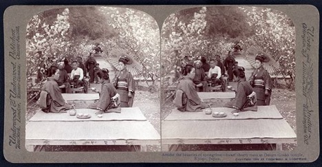 © "Amidst the Beauties of Springtime – Dwarf Cherry Trees at Omuro Gosho Temple" 1904 / Prints and Photographs Division, Library of Congress