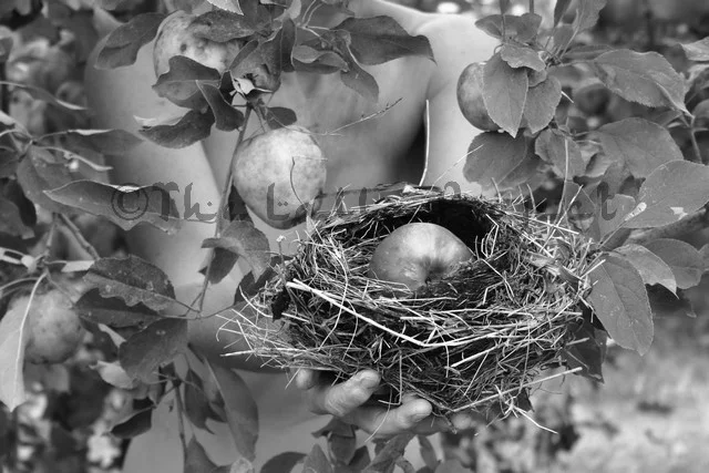 Photo: Carol J. Hicks