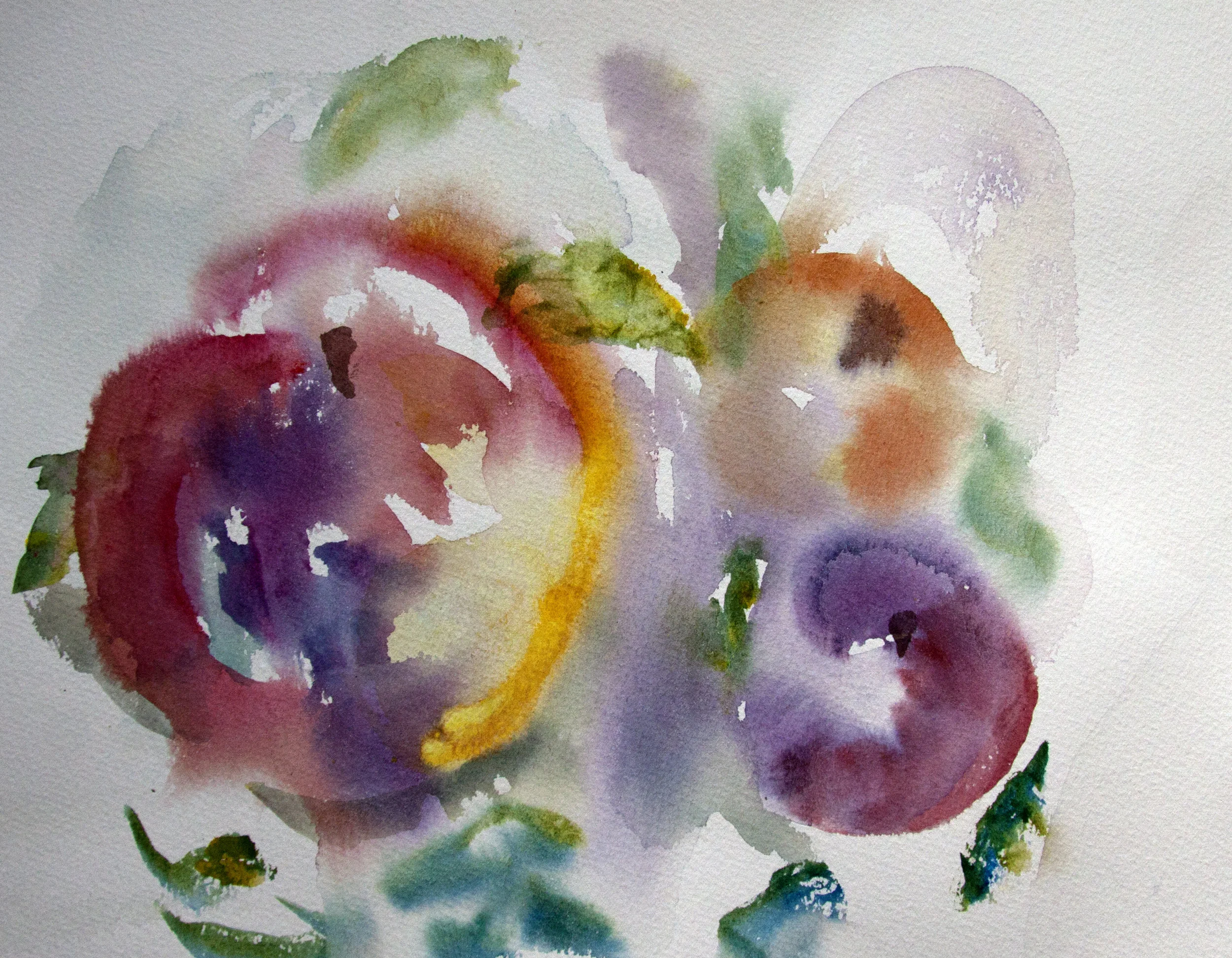 Apple Watercolor, Linda Hoffman
