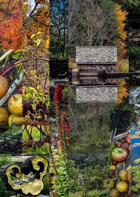 Plein Air 2017 Inside Collage.jpg