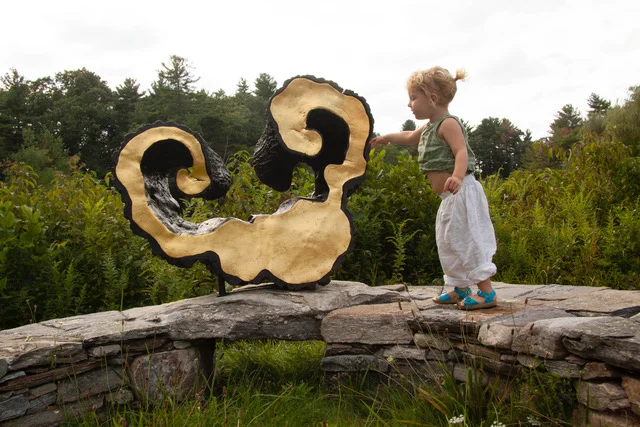 Vita and Lidian's Harp.jpeg