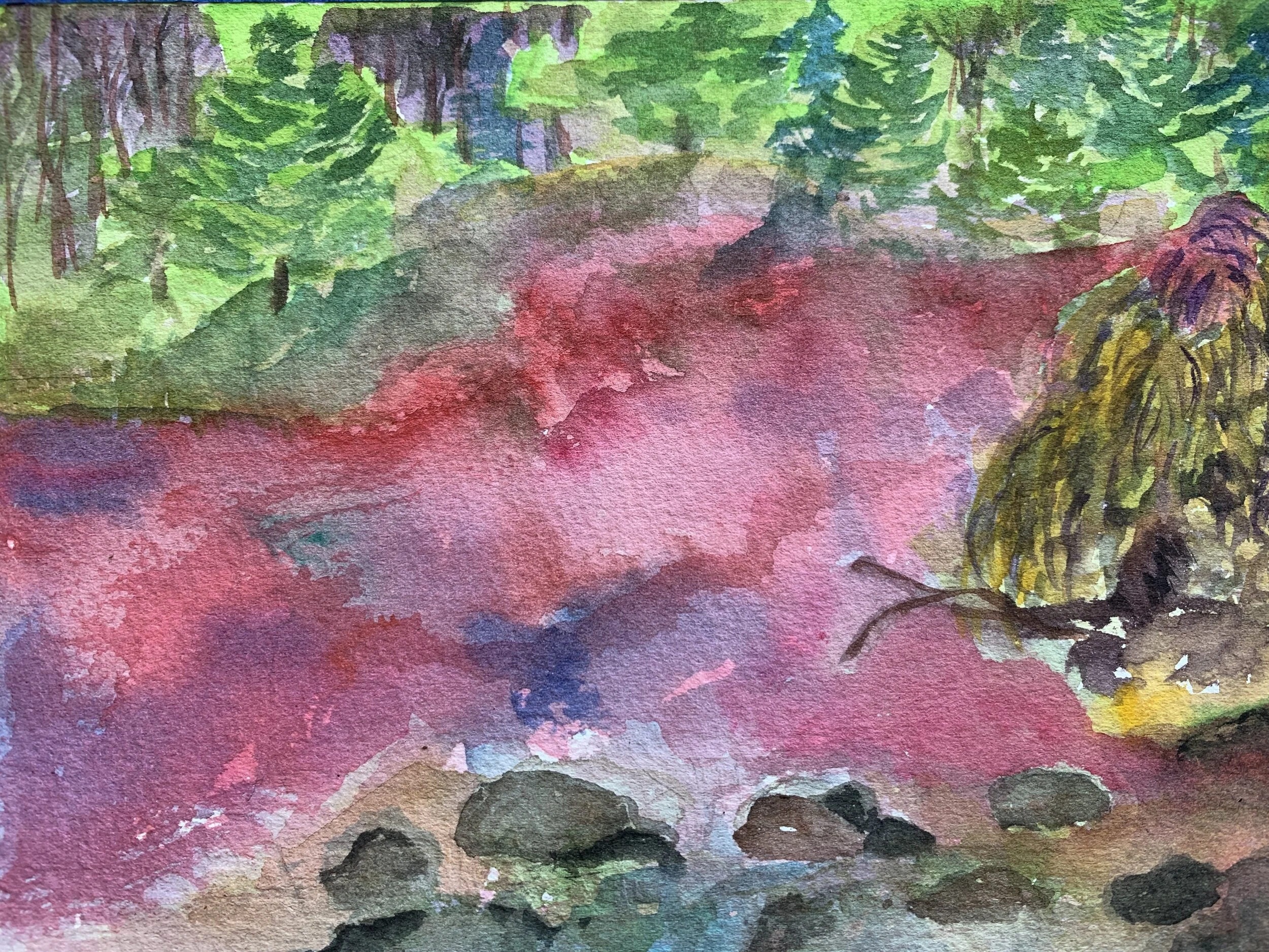 Pink Pond, watercolor, LH
