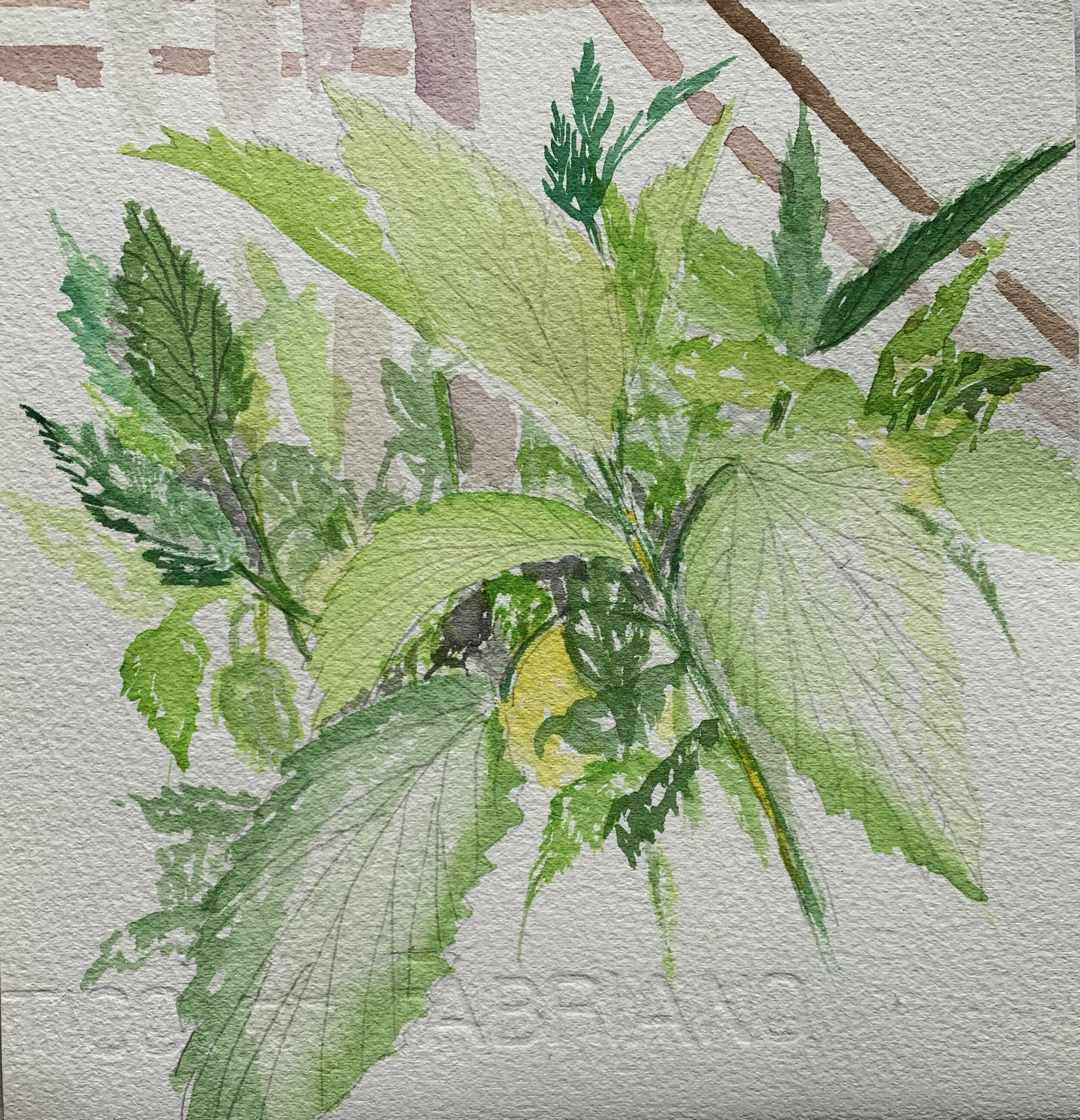 Stinging Nettles: Gifts from the Great Mother