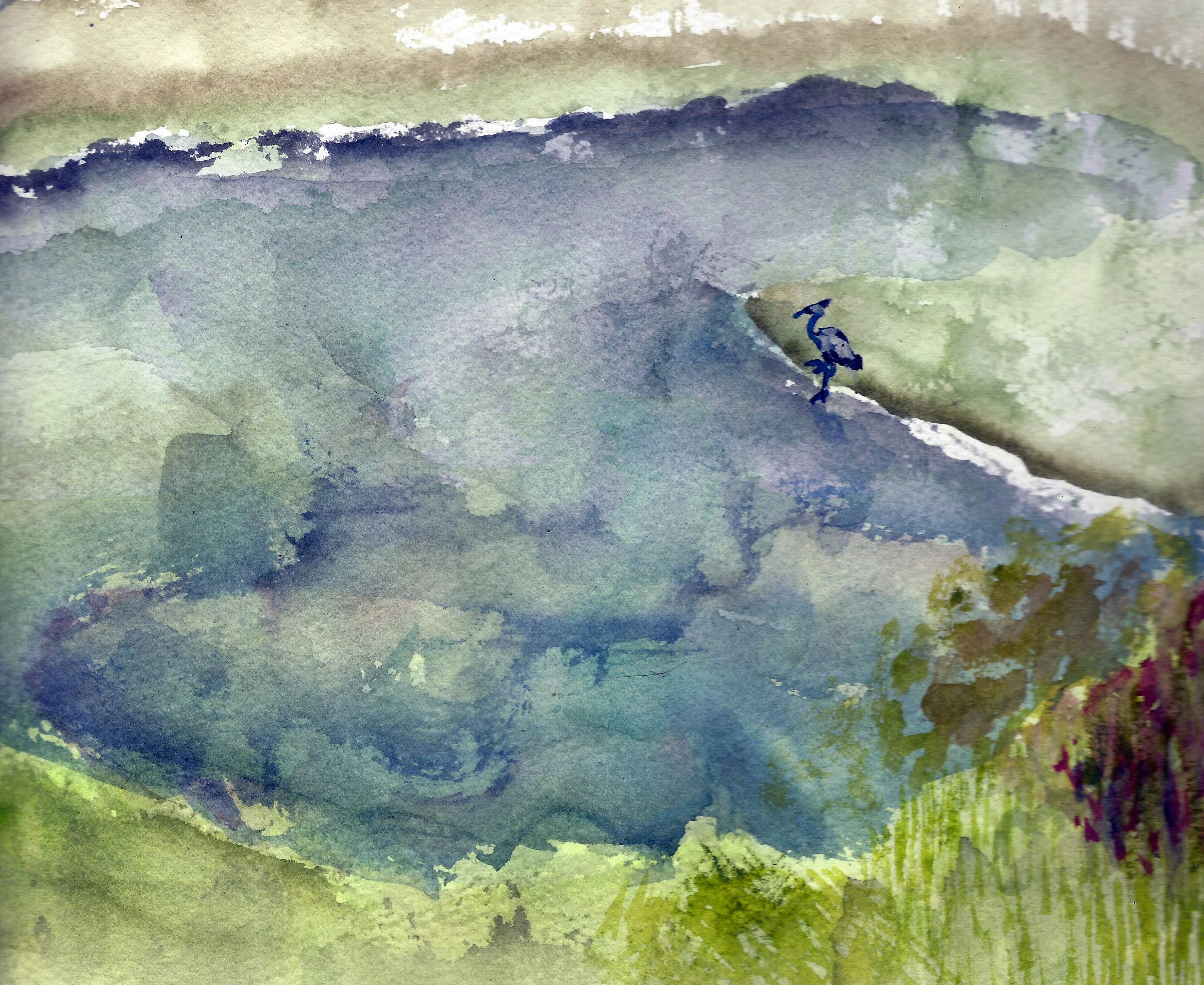 Heron at Pond.jpg