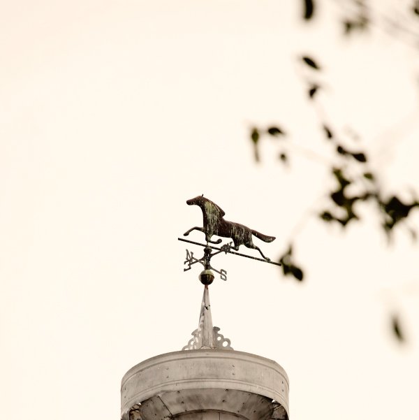 sq portfolio two-12.jpg