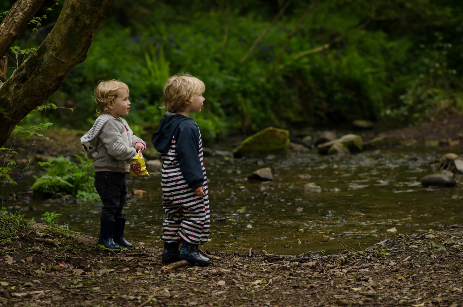 A walk down Lower town woods Helston
