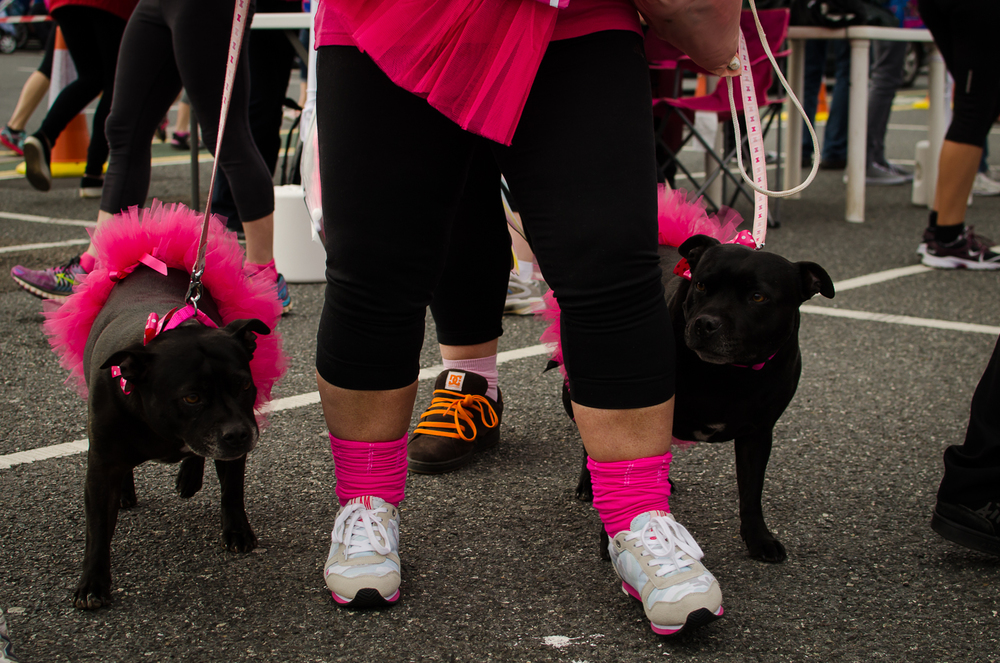 Race for life blog 2015-11.jpg