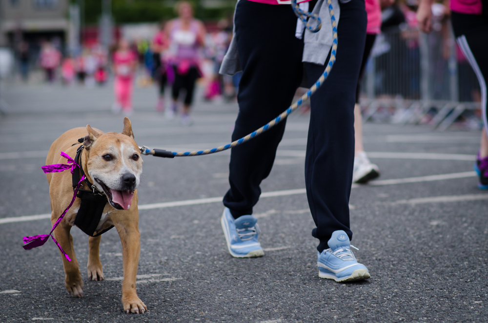 Race for life blog 2015-210.jpg