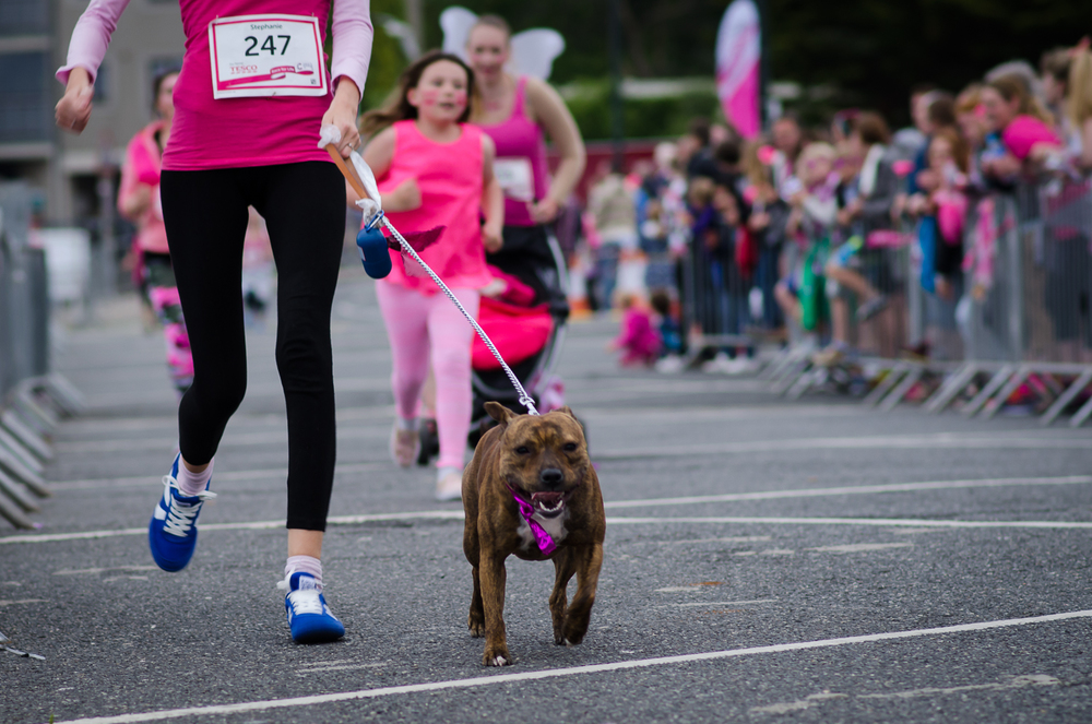 Race for life blog 2015-212.jpg