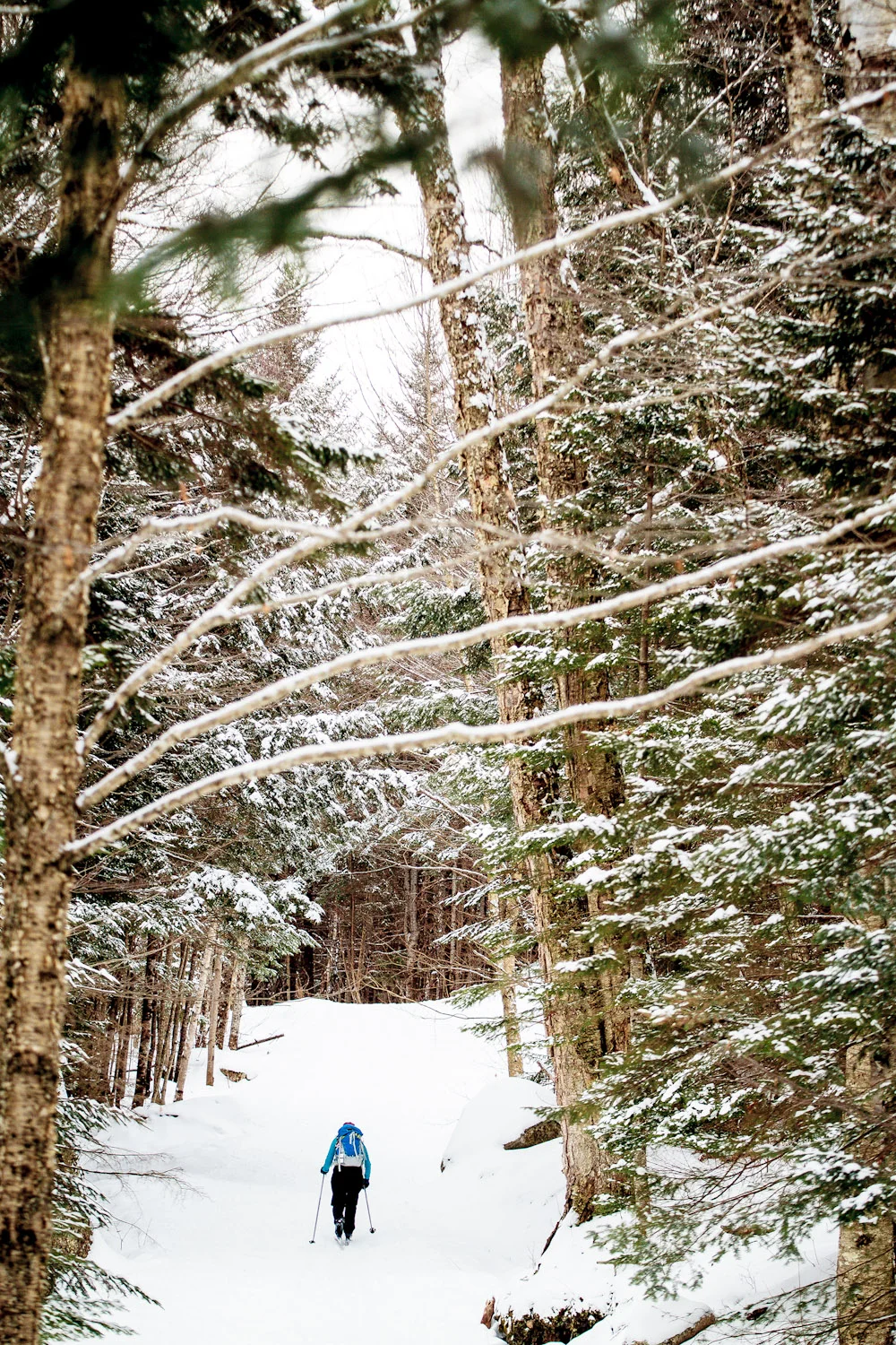dv_waterville-selects (1 of 57).jpg