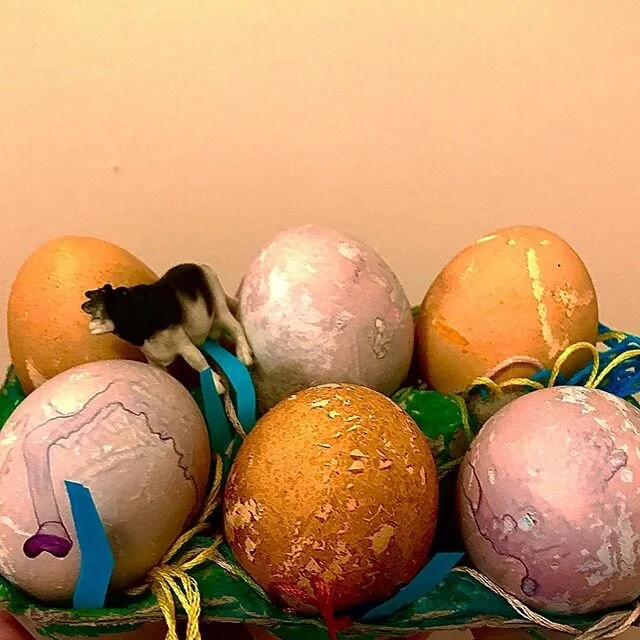 #bunnyday #cabbage #turmeric #help