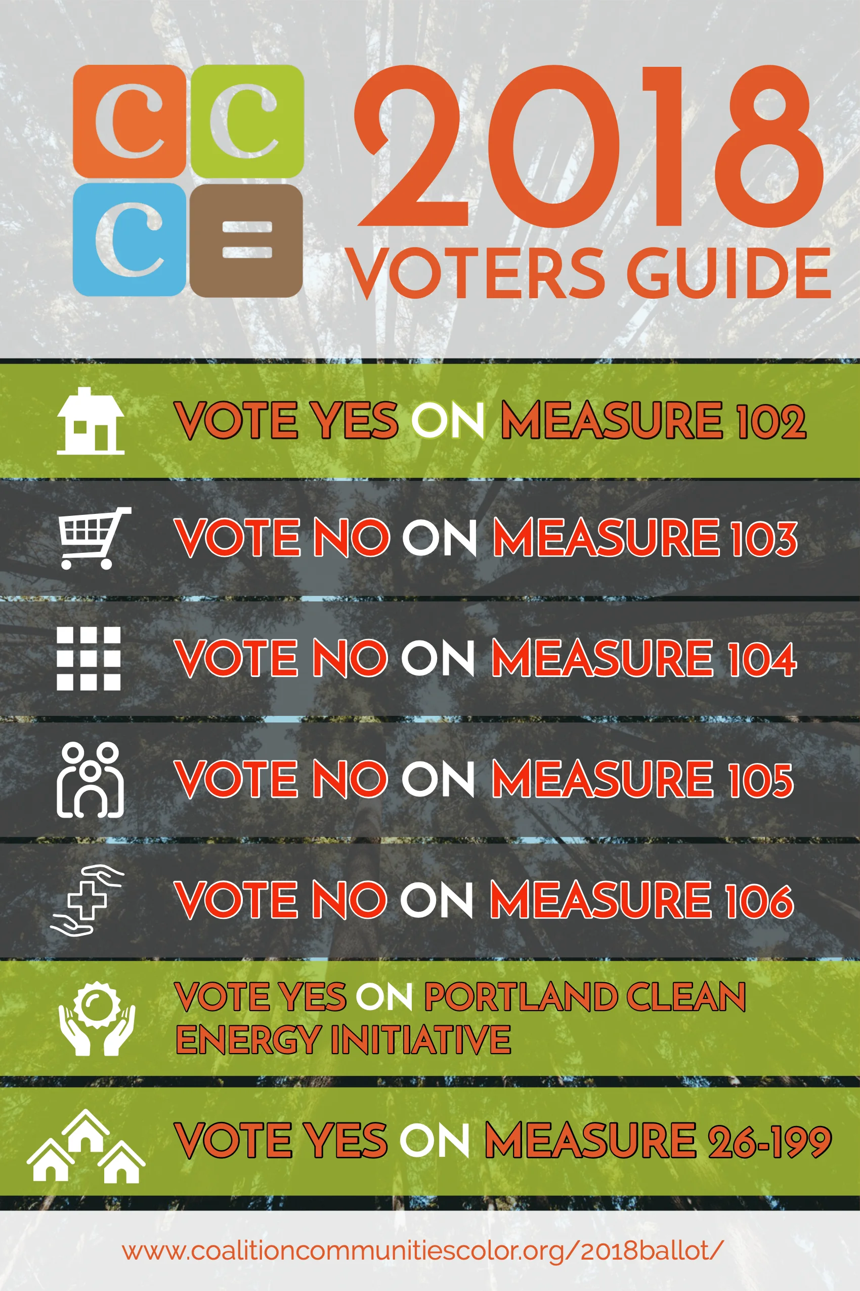 CCC Voting Guide.jpg