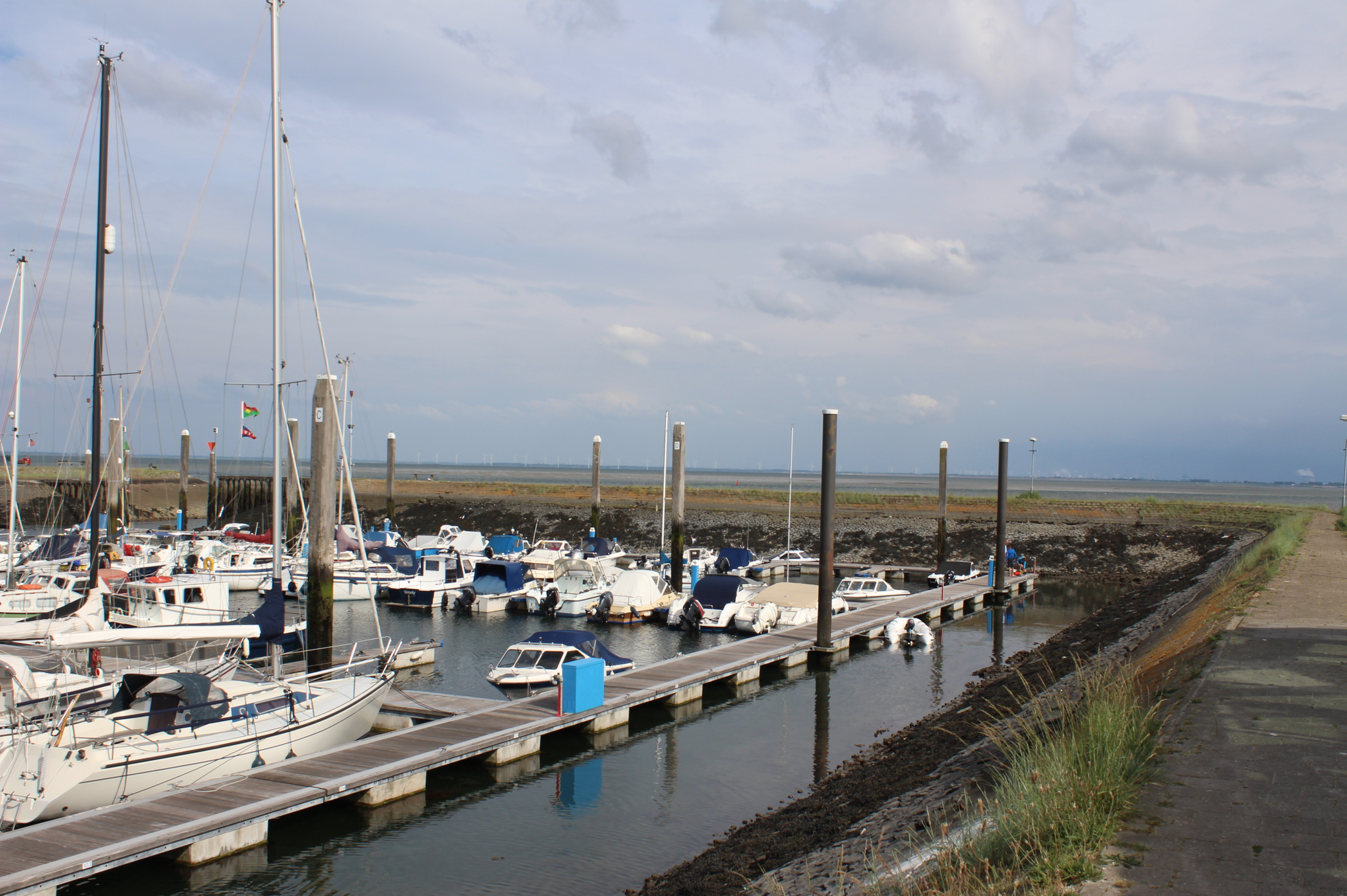 Deze keer stelde Yerseke teleur. Ook de haven.