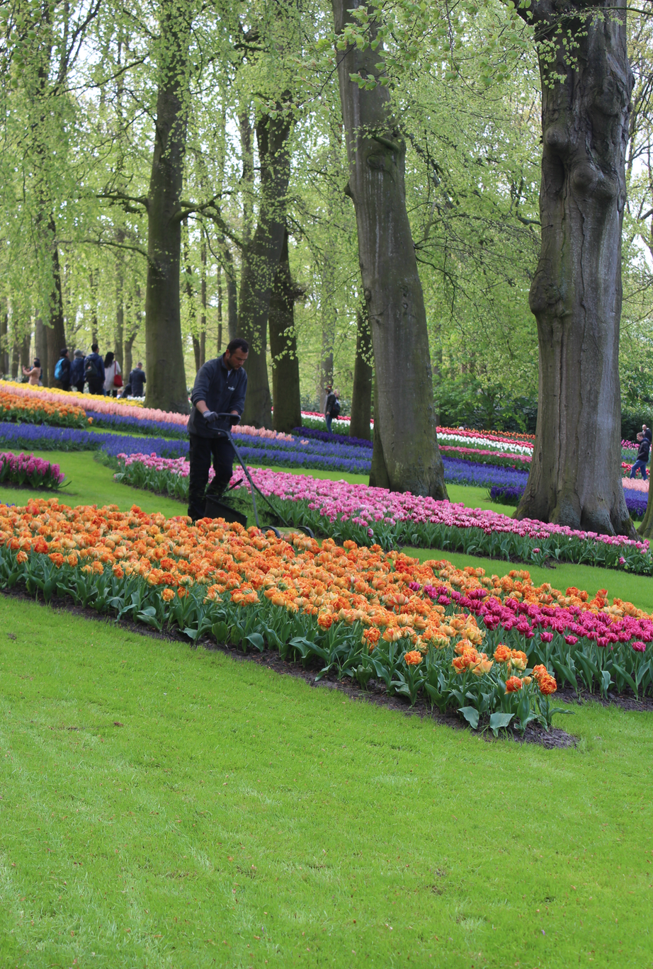 40 tuinmannen onderhouden permanent de bloemen, planten en het gras. 