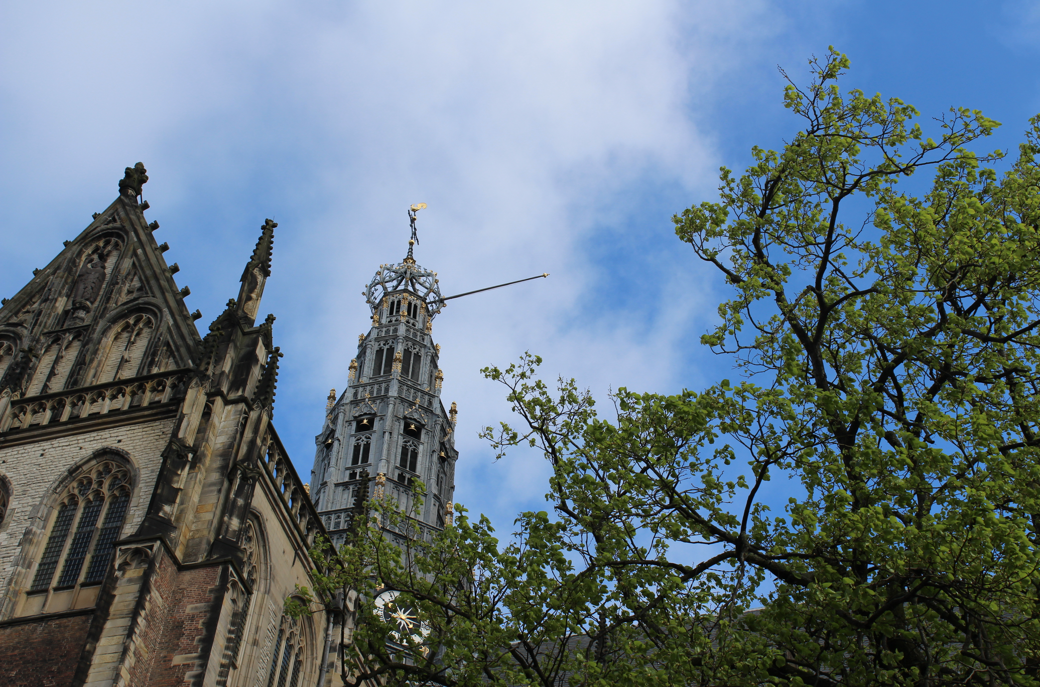 st bavo kerk.png