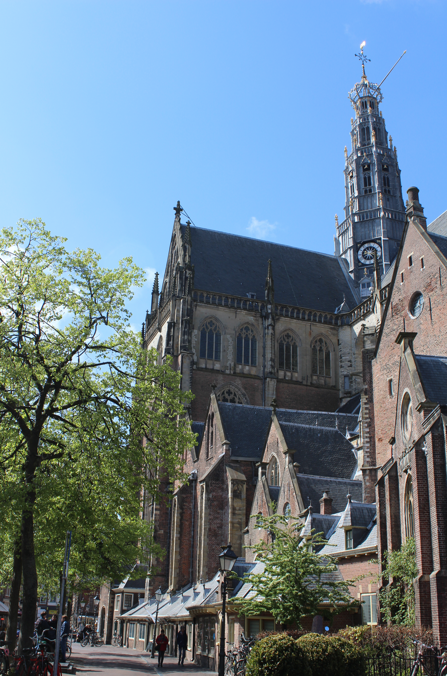 st bavo kerk haarlem.png