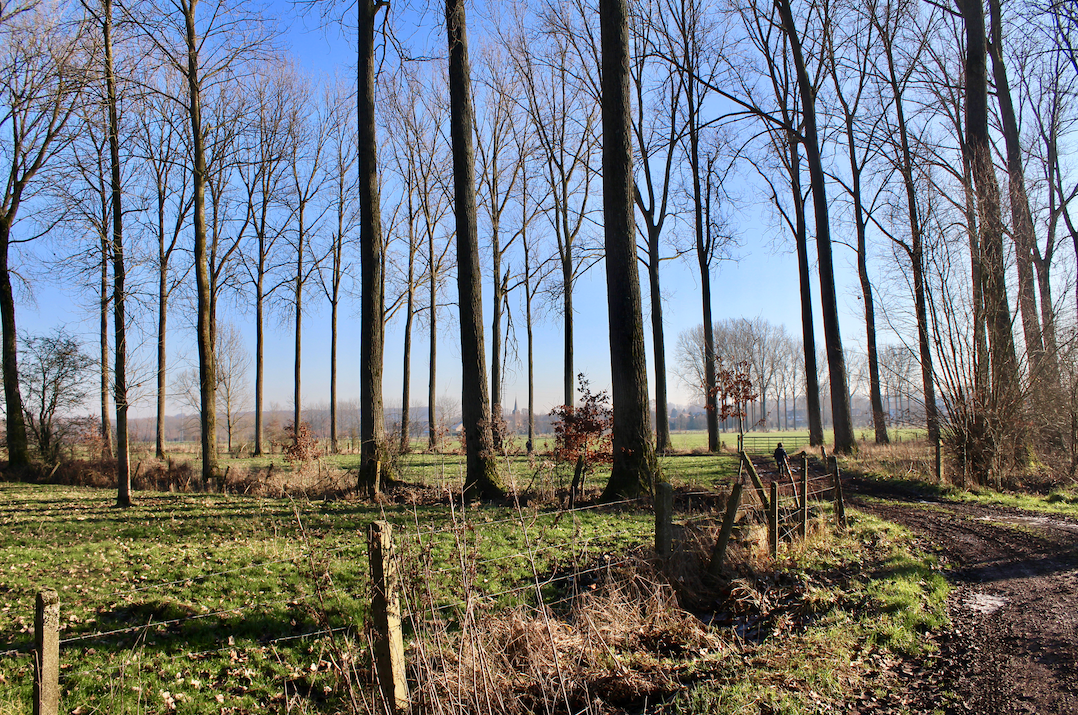 Wandelen in De Nuchten