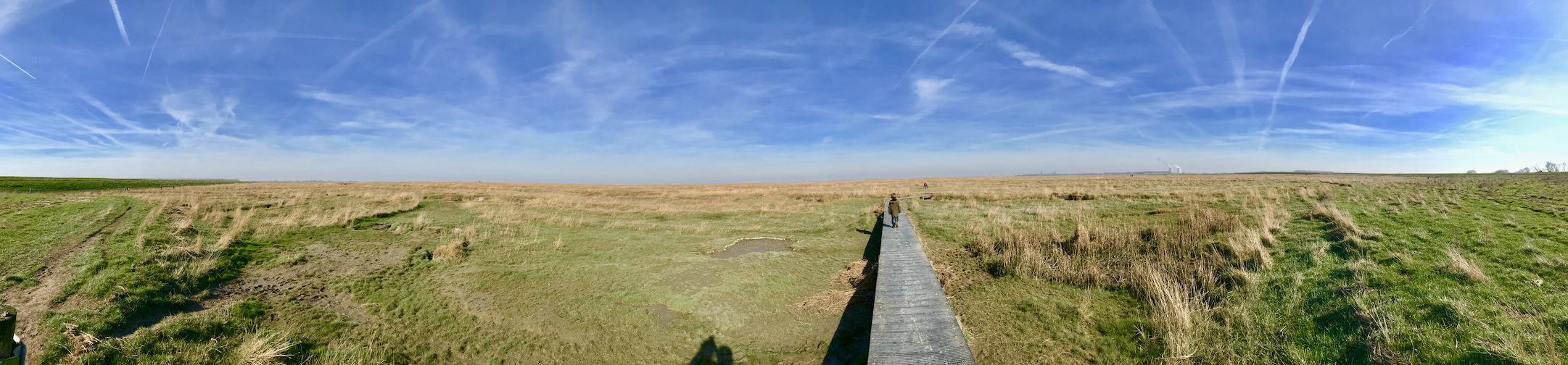 panorama saeftinghe.png