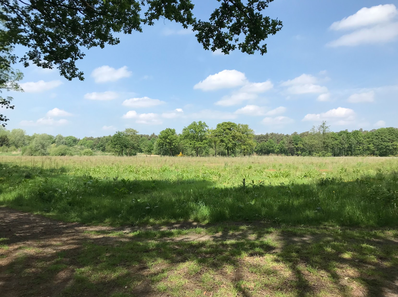 Stilletjes ‘op den buiten’.