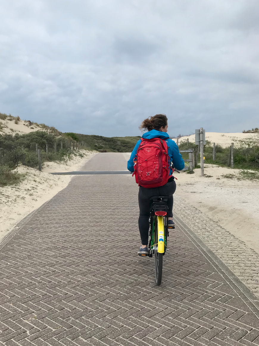 getoutoftown hollandse duinen.png