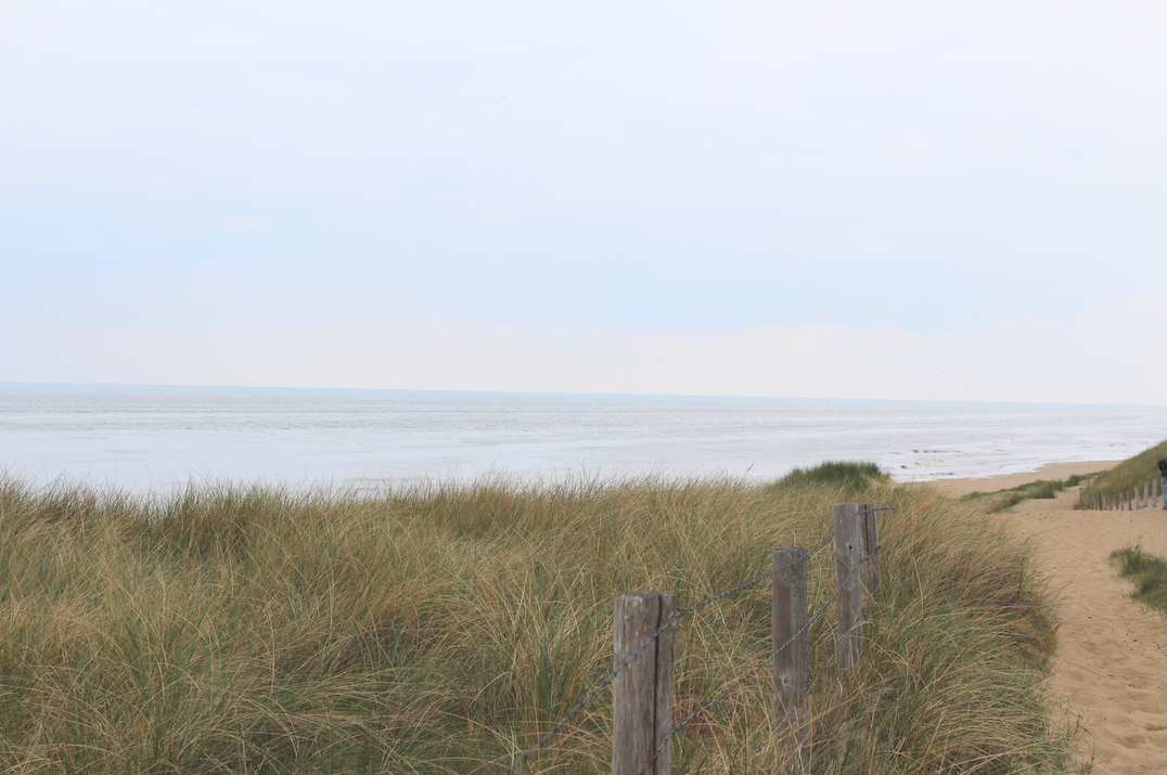 hollandse duinen noordzee.png