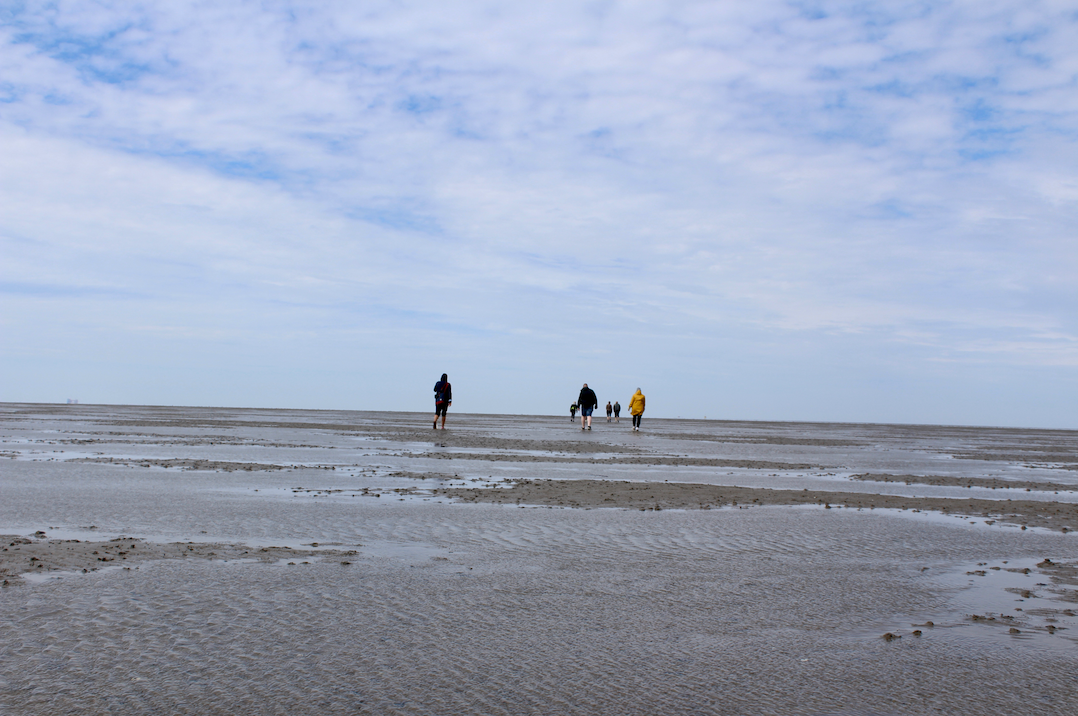 wadlopen paesens moddergat.png