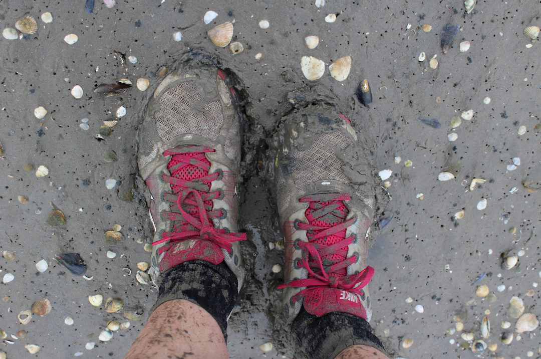 Wadlopen over de Waddenzee (Holland National Parks 3/3) — Get Out Of Town