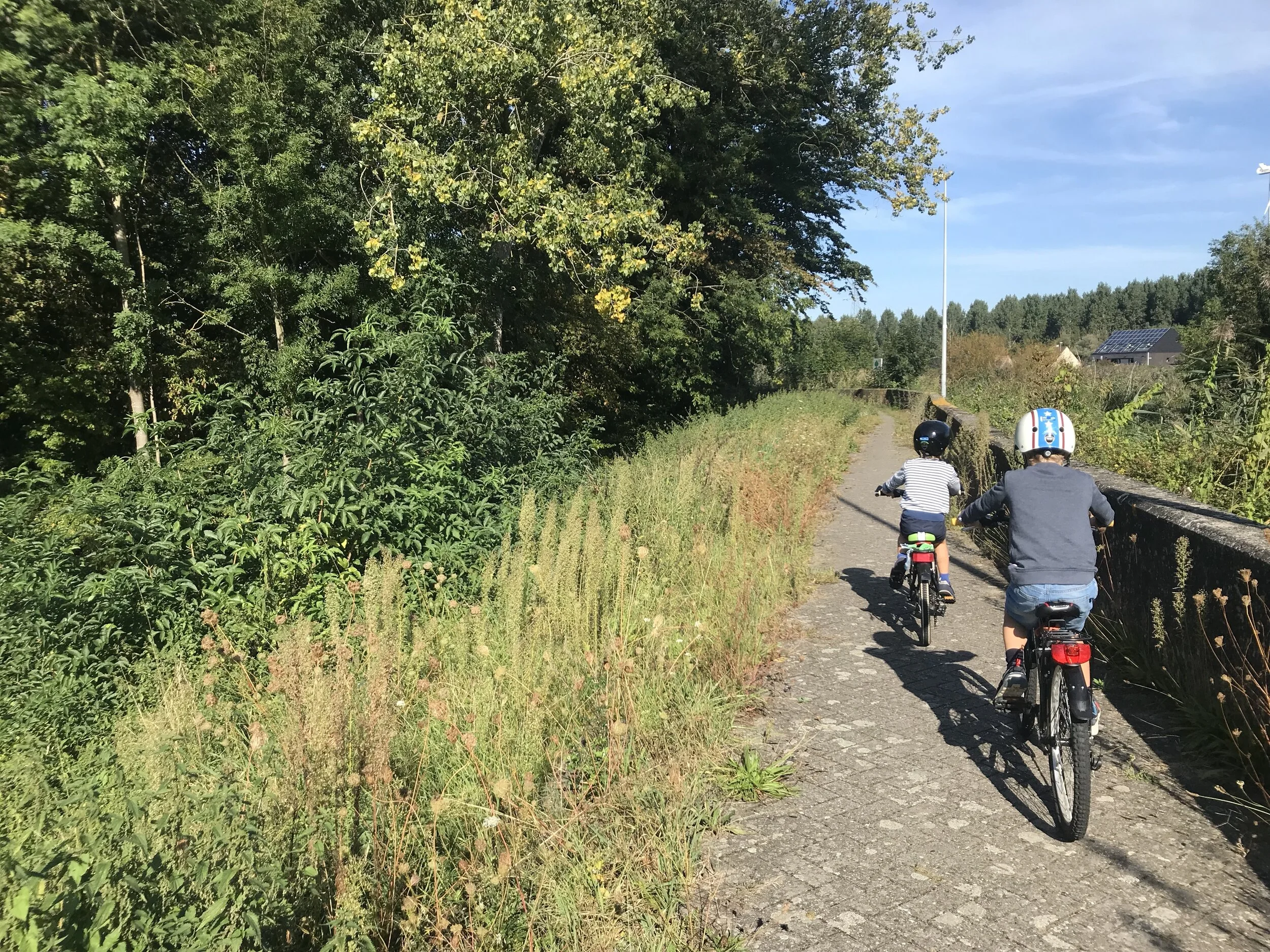 fietsen langs de schelde