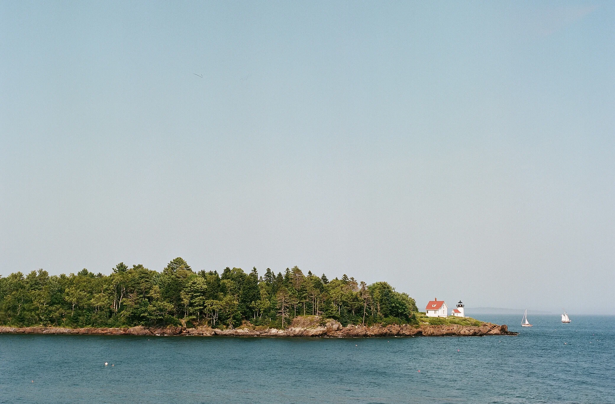 Website BG.jpg