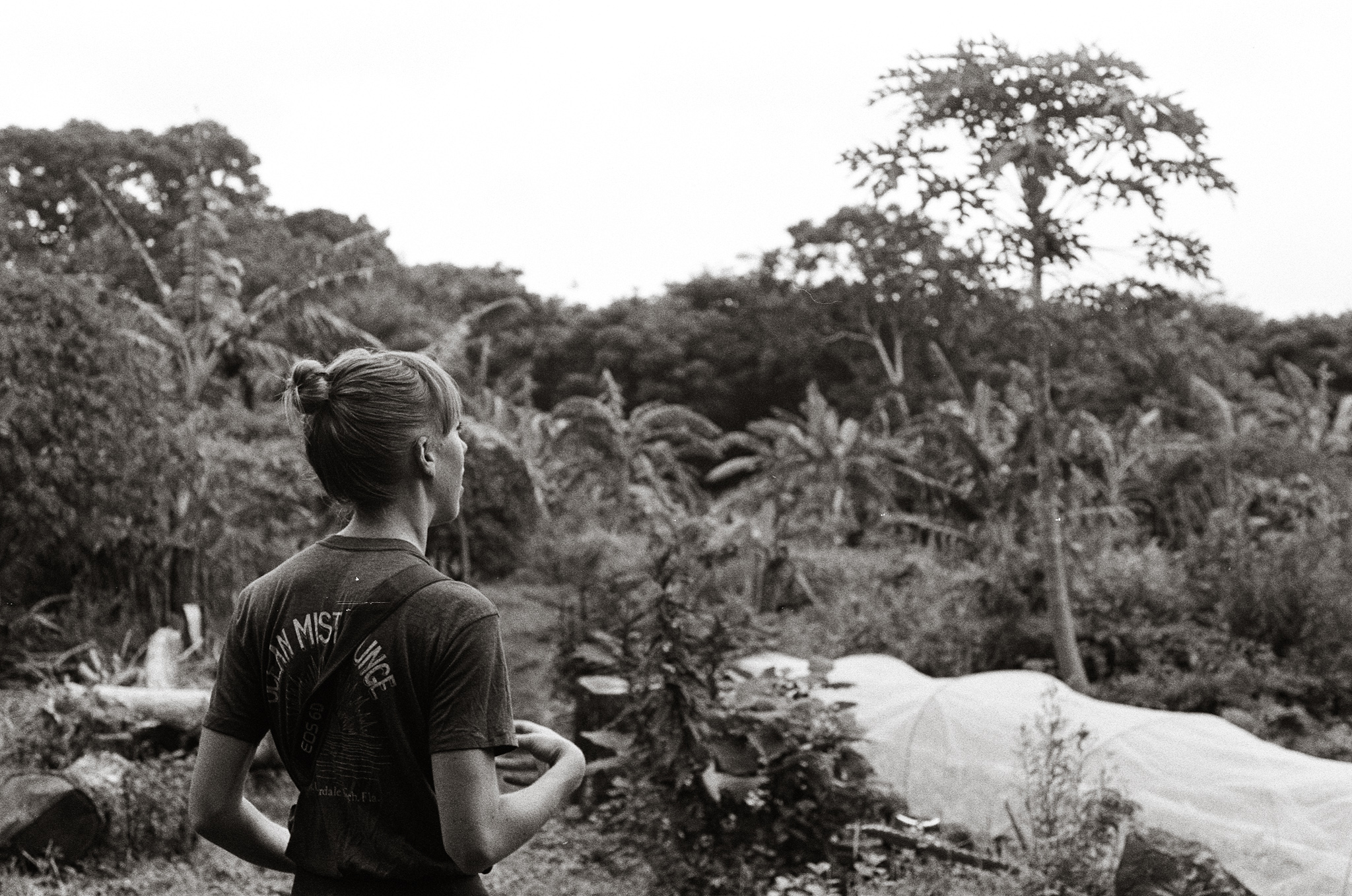 El Zopilote Permaculture Farm. Nicaragua, 2018.