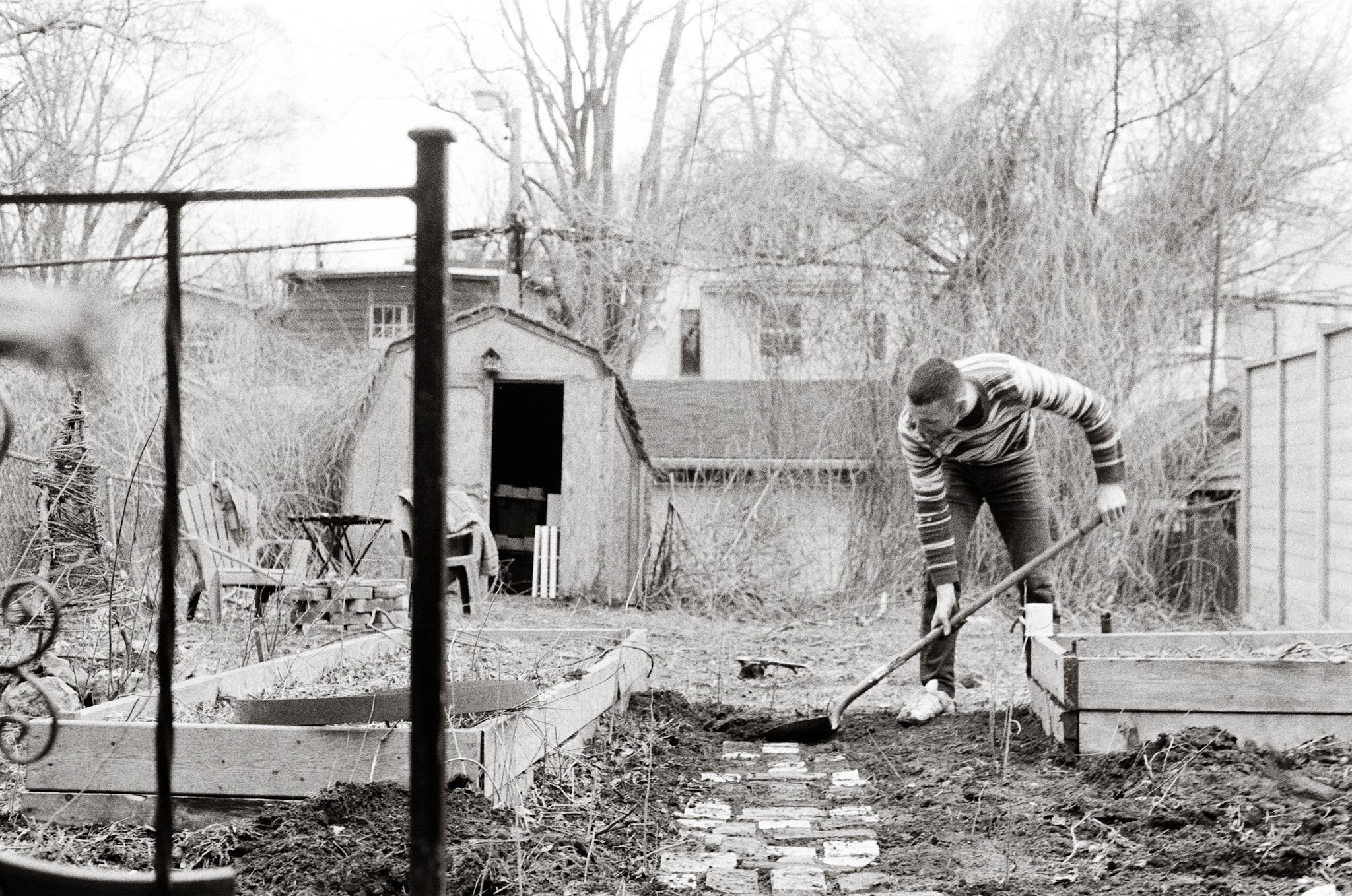 Naomi & Jeffrey’s Garden: The Beginning. Toronto, 2018.