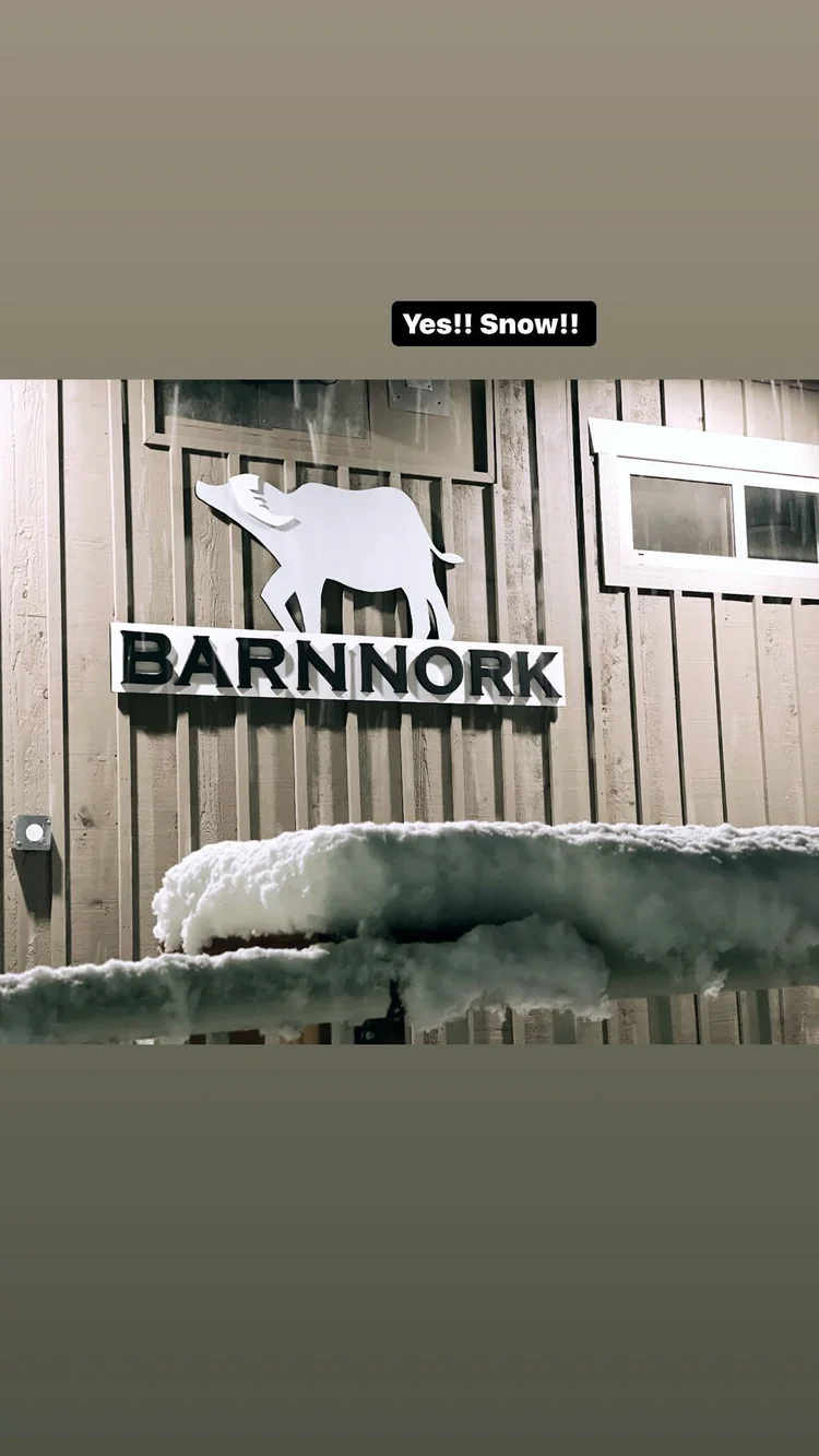 Barn Nork — photo 68 of 68