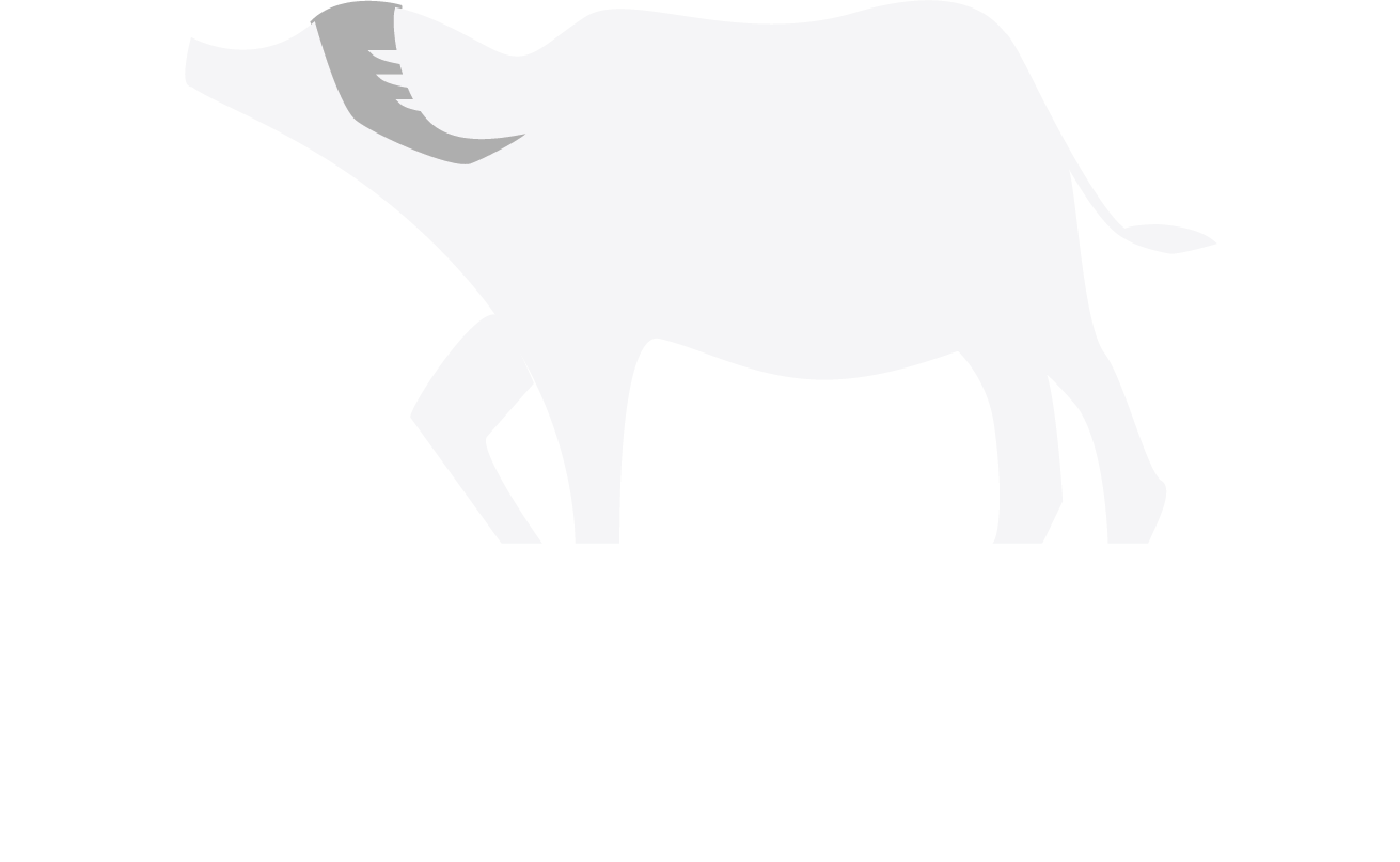 Barn Nork