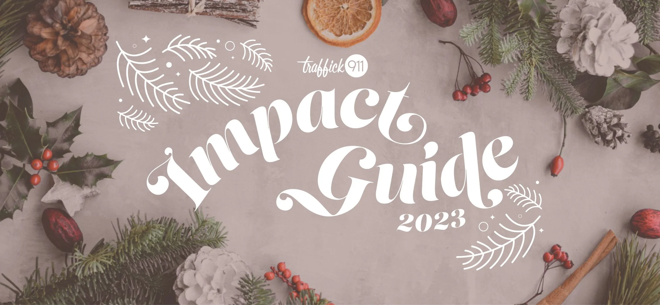 Our 2023 Impact Guide is here!