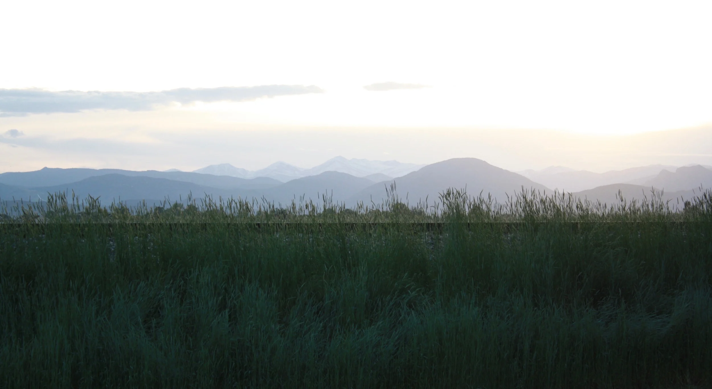 a backyard view from a neighborhood in loveland, co