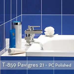 T-859 Pavigres 21 pc polished