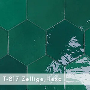 T-817 Zellige Hexa