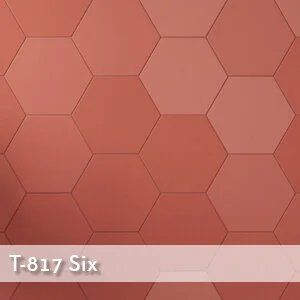 T-817 Six Collection