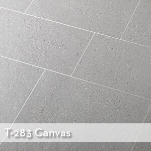 T-283-Canvas
