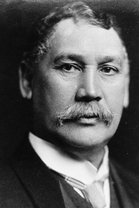 Figure 3: Portrait photograph of Sir James Carroll. Reference: Alexander Turnbull Library, .35mm-00136-d-F.