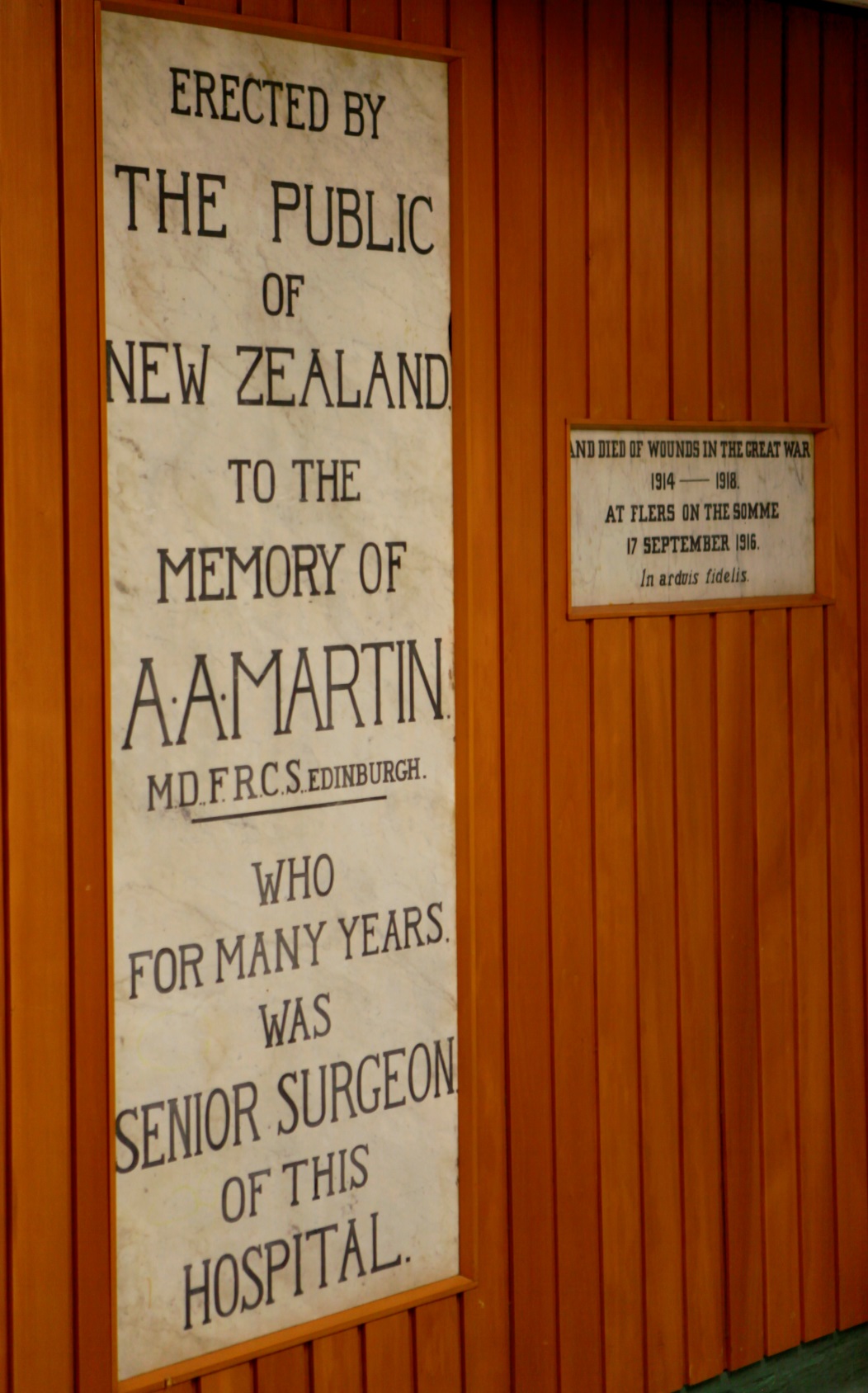 Figure 5: The memorial to Dr A A Martin located in the Palmerston North Hospital. Reference: Photograph by Evan Greensides, Ian Matheson City Archives, 2015 