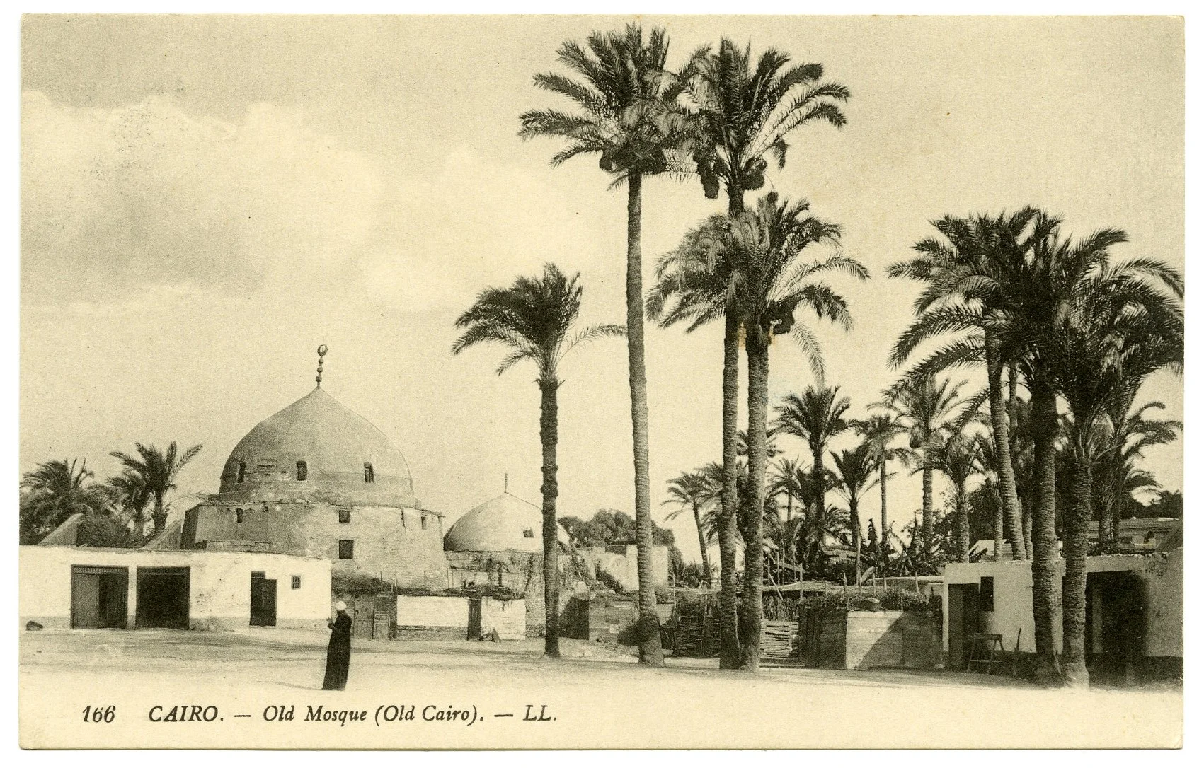 Postcard #8