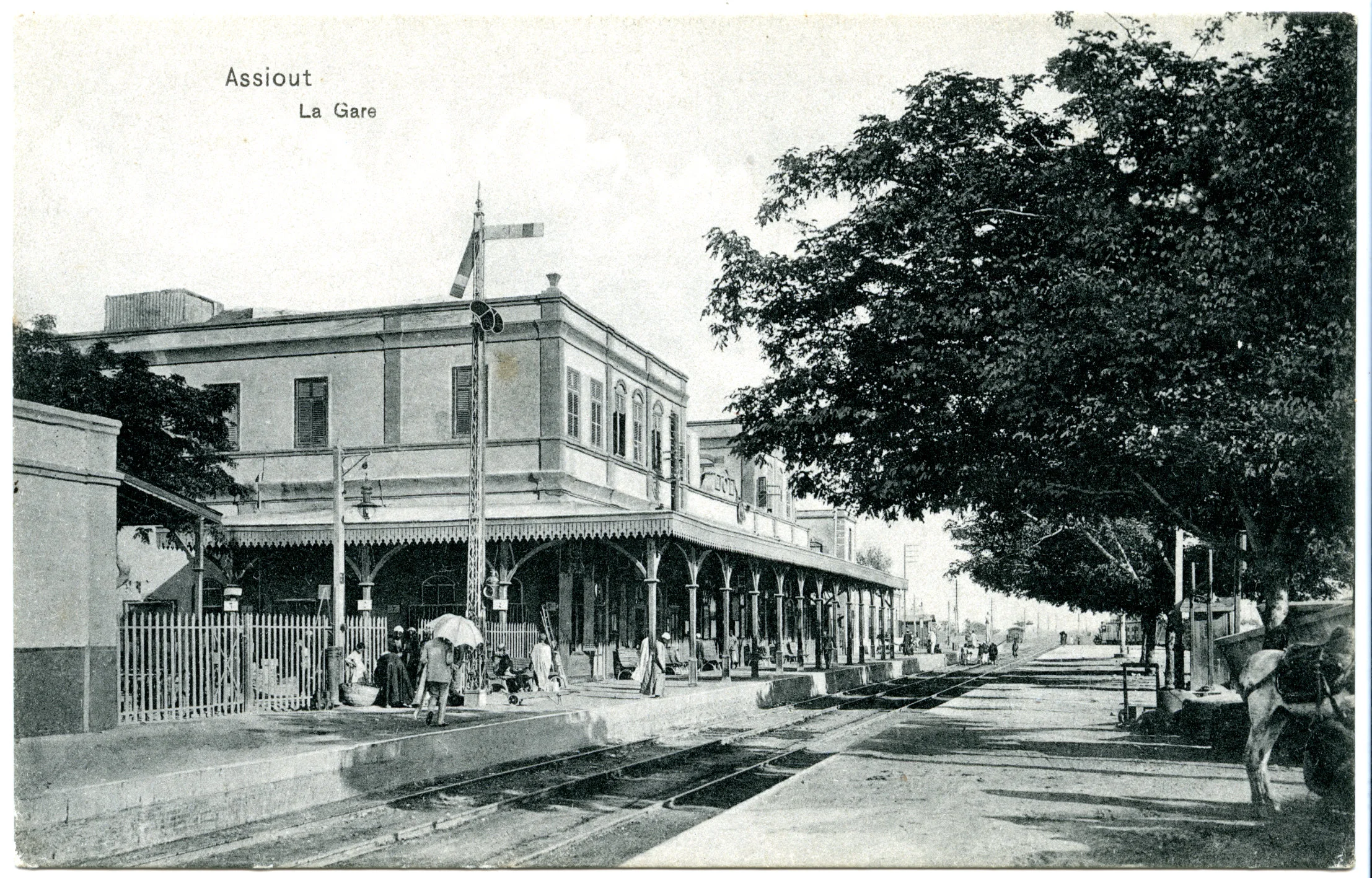 Postcard #10