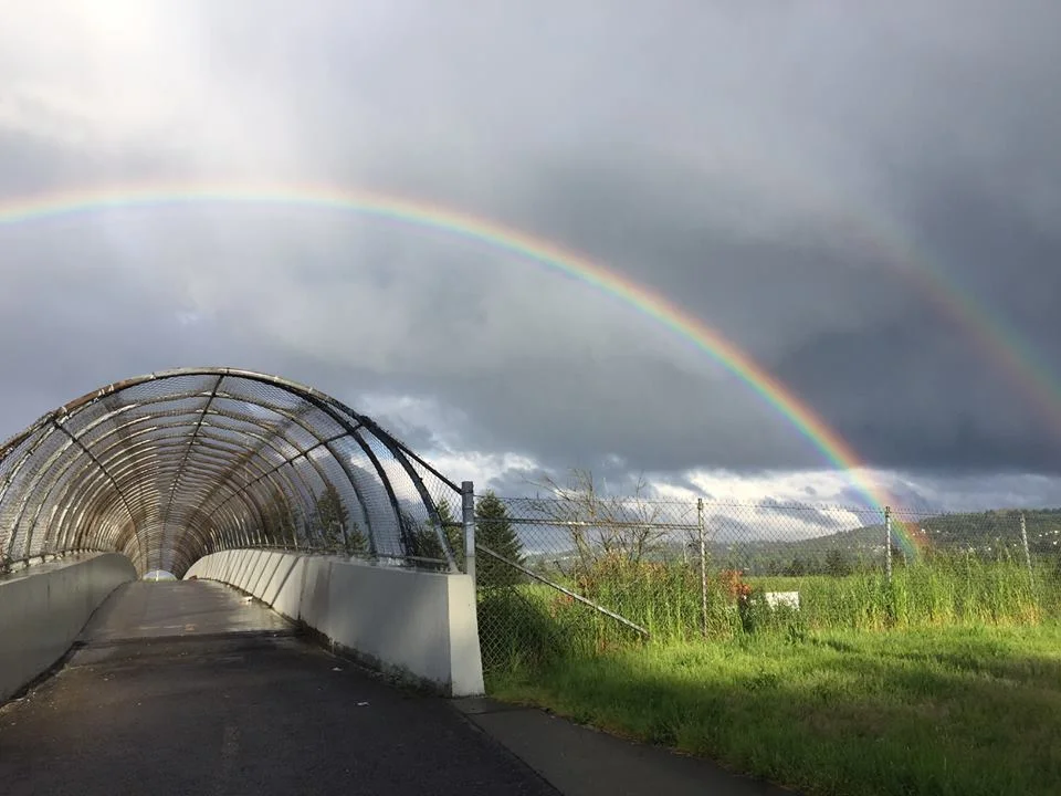 Lents Bridge Project Pic.jpg