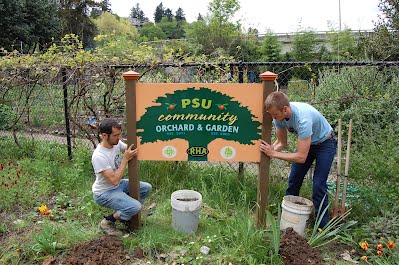 psu community garden.jpeg