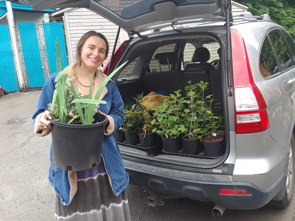 Arte Soleil Placemaking 3 Plants.jpg