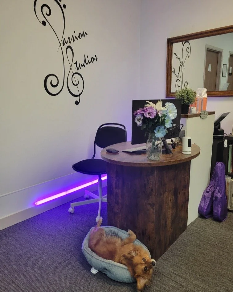 Happy December...Beanie, the studio dog is ready for hygge 🙌🏼