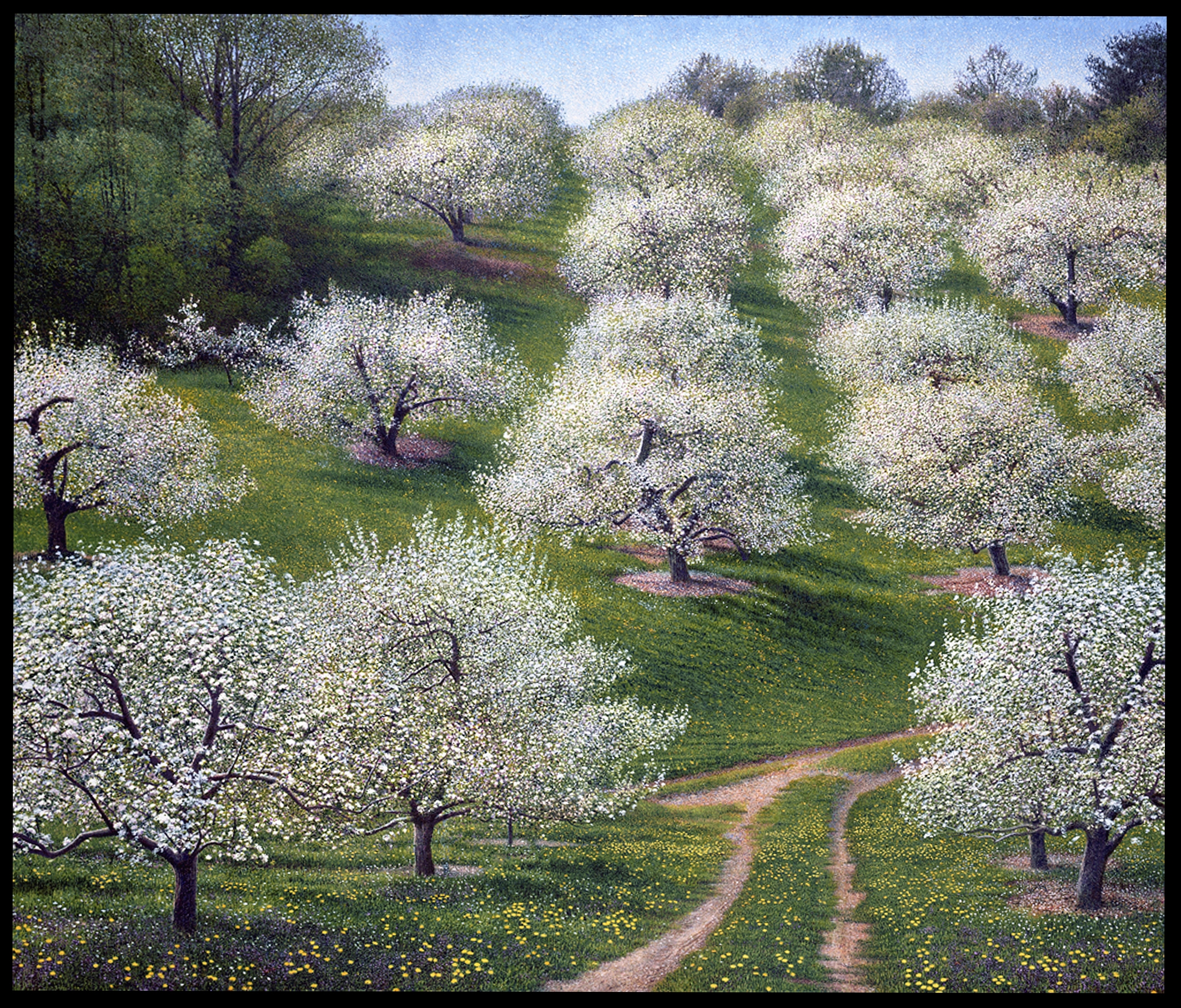  Spring Apple Orchard (26"x31") Oil on Linen 